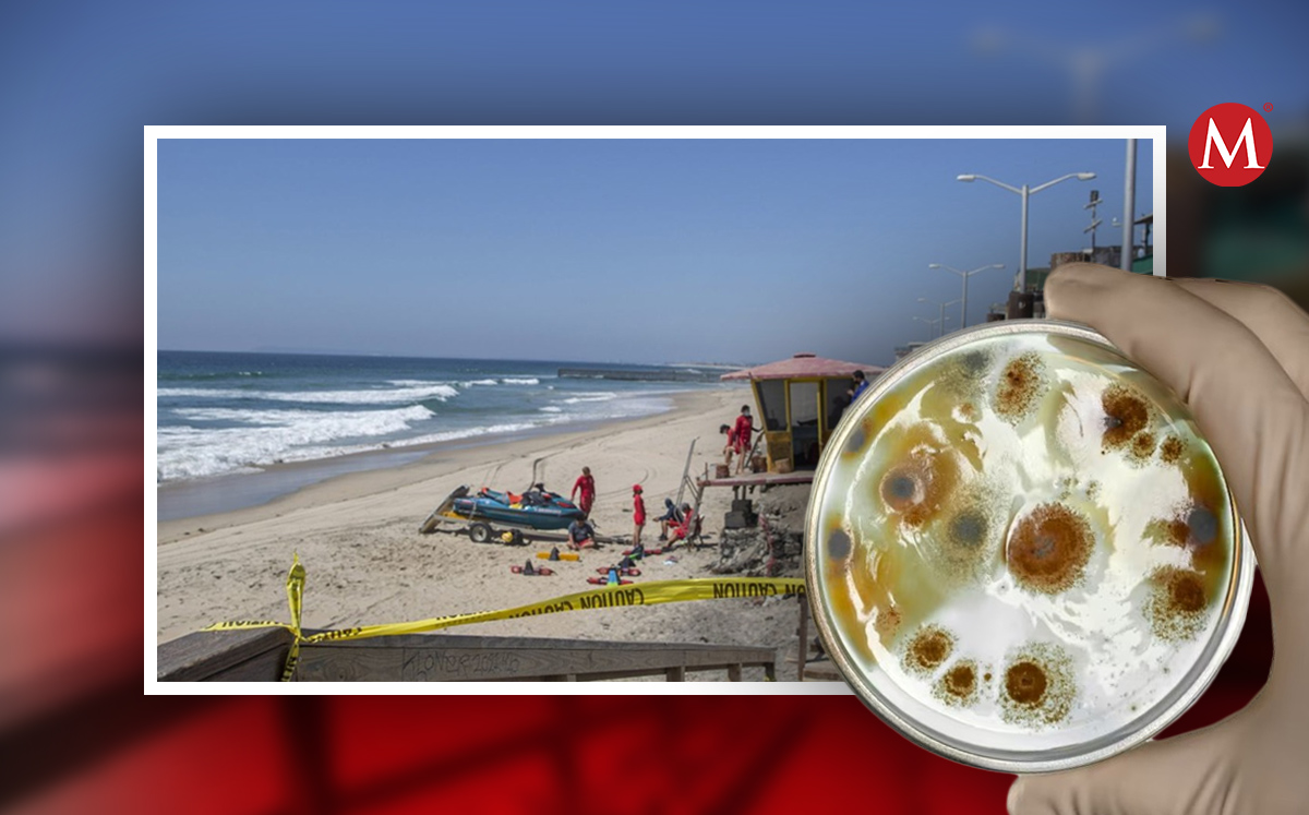 Algunas playas en México tienen exceso de enterococos. | Cuartoscuro y Freepik