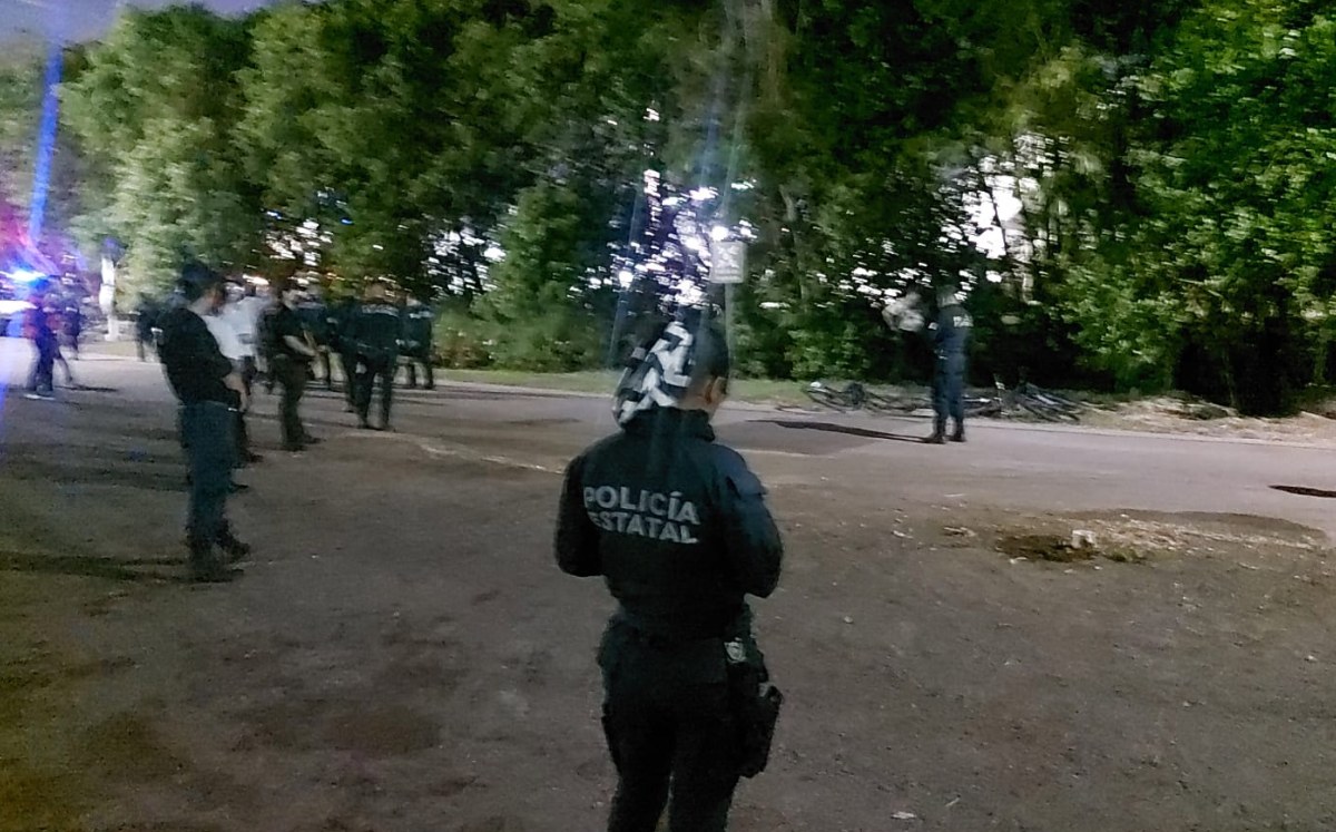 Policías de Tamaulipas atendieron reporte de cocodrilos cerca de la Feria de Tampico.