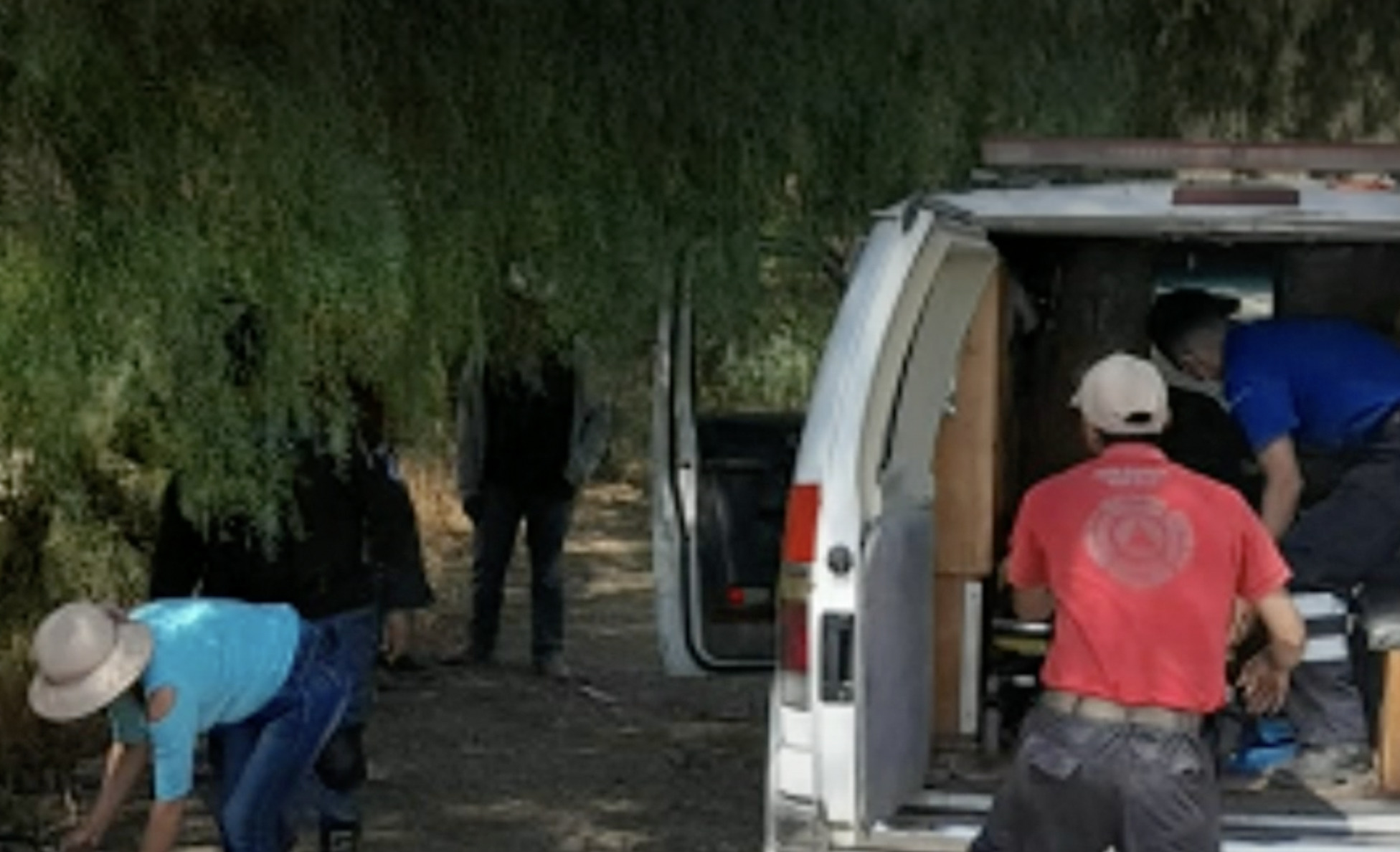 Migrante Cae De Tren En Tula De Allende Y Pierde Extremidades Grupo