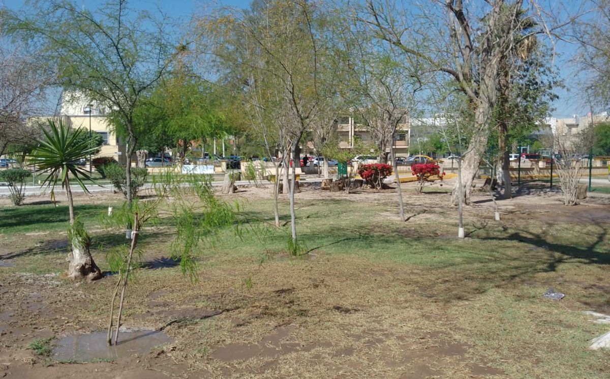 193 plazas fueron regadas con agua tratada durante el 2022. (Adriana Magallanes)