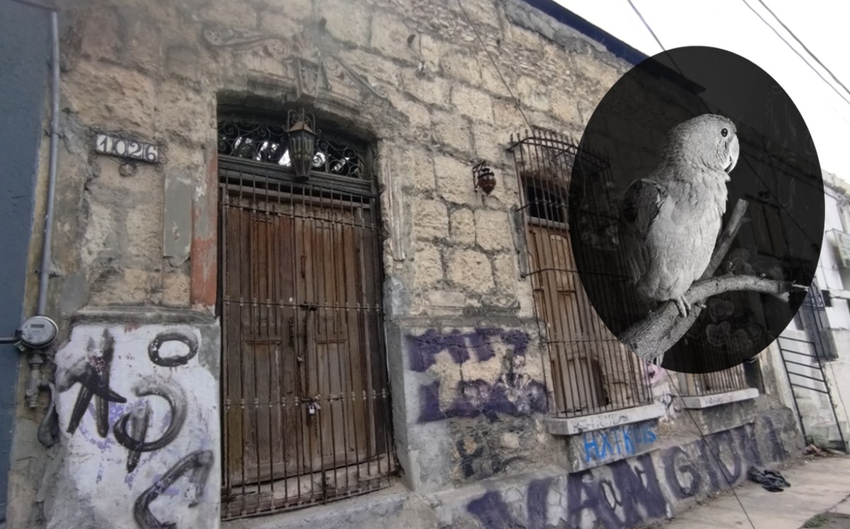 Casa de Aramberri en centro de Monterrey | Leonel Rocha