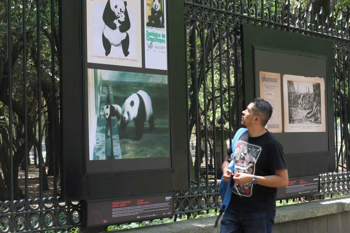 Fue montada una exposición fotográfica en la Galería Acuario.