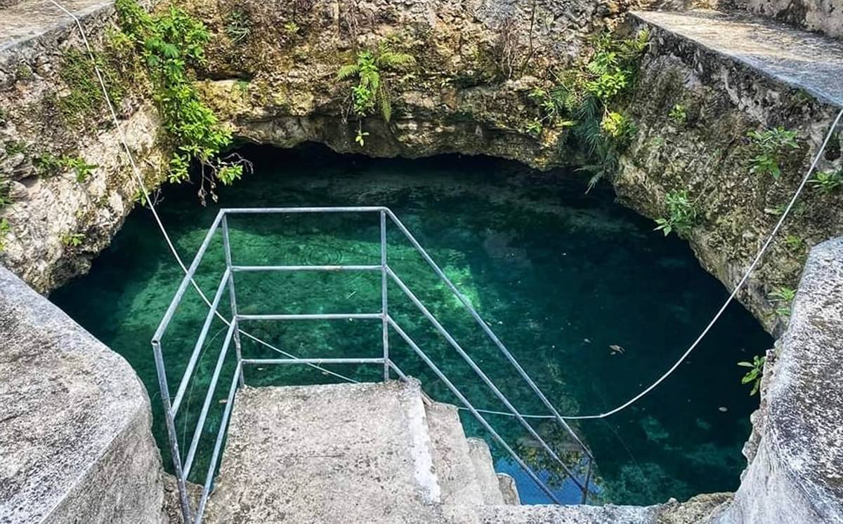 'La Quinta el gato', el cenote que una familia descubrió en el patio de su casa en Yucatán