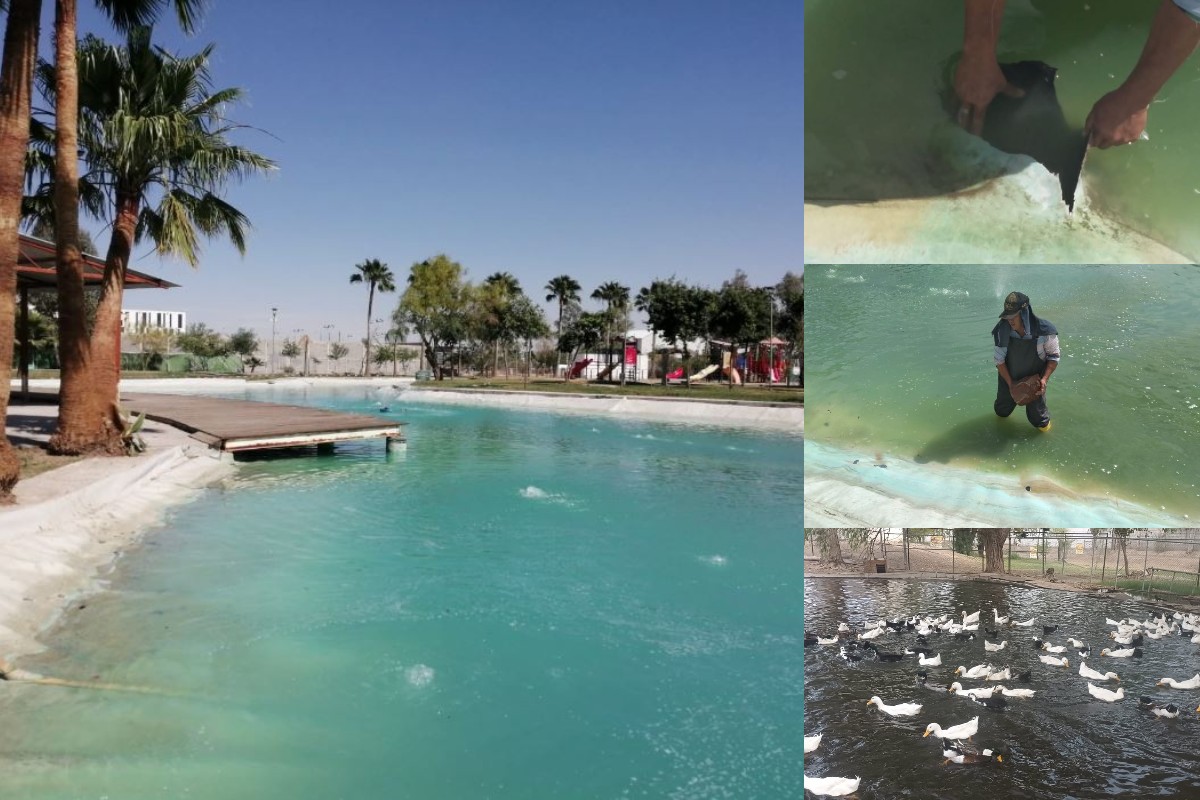 Ante esto el nivel del agua bajó considerablemente con las filtraciones del líquido. | Especial