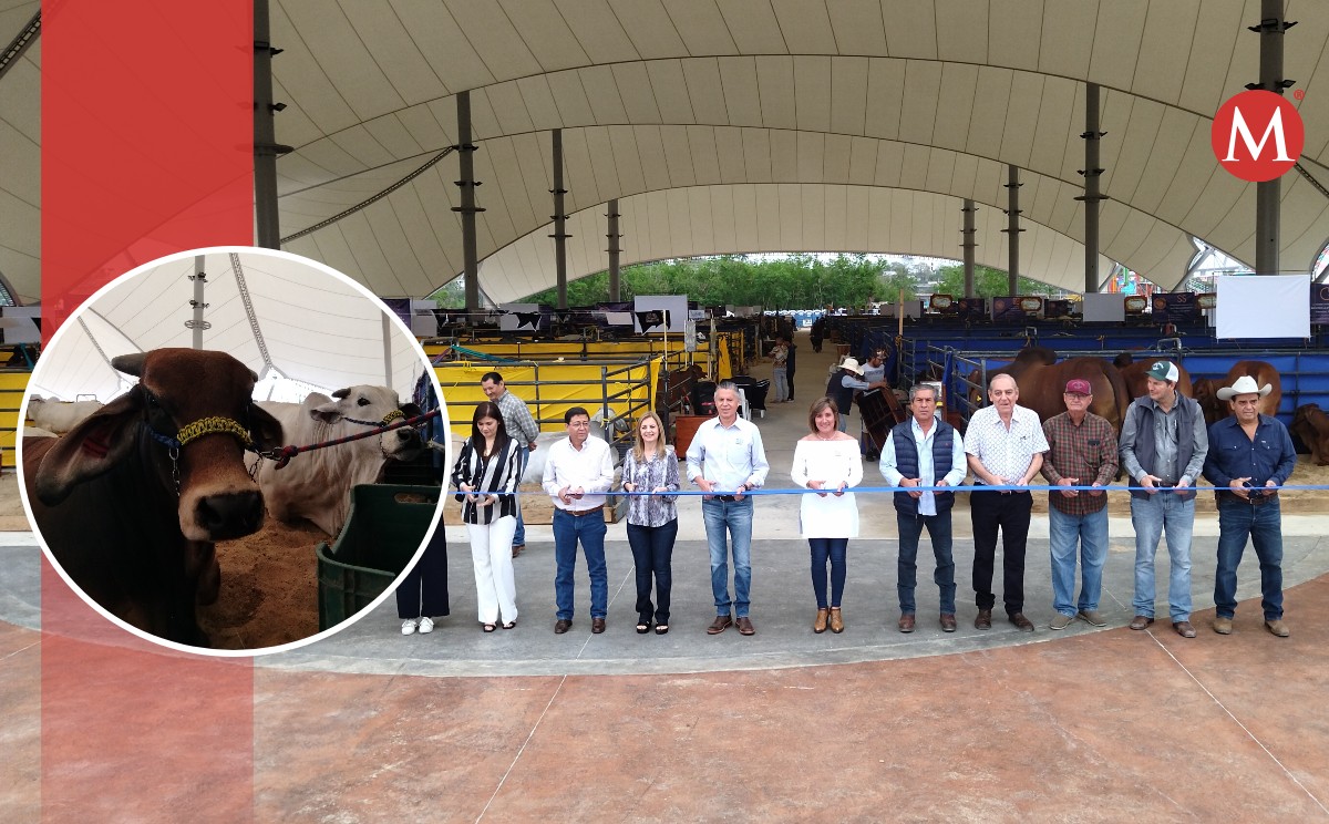 La Asociación de Criadores de Cebú inauguraron su exhibición en Tampico.