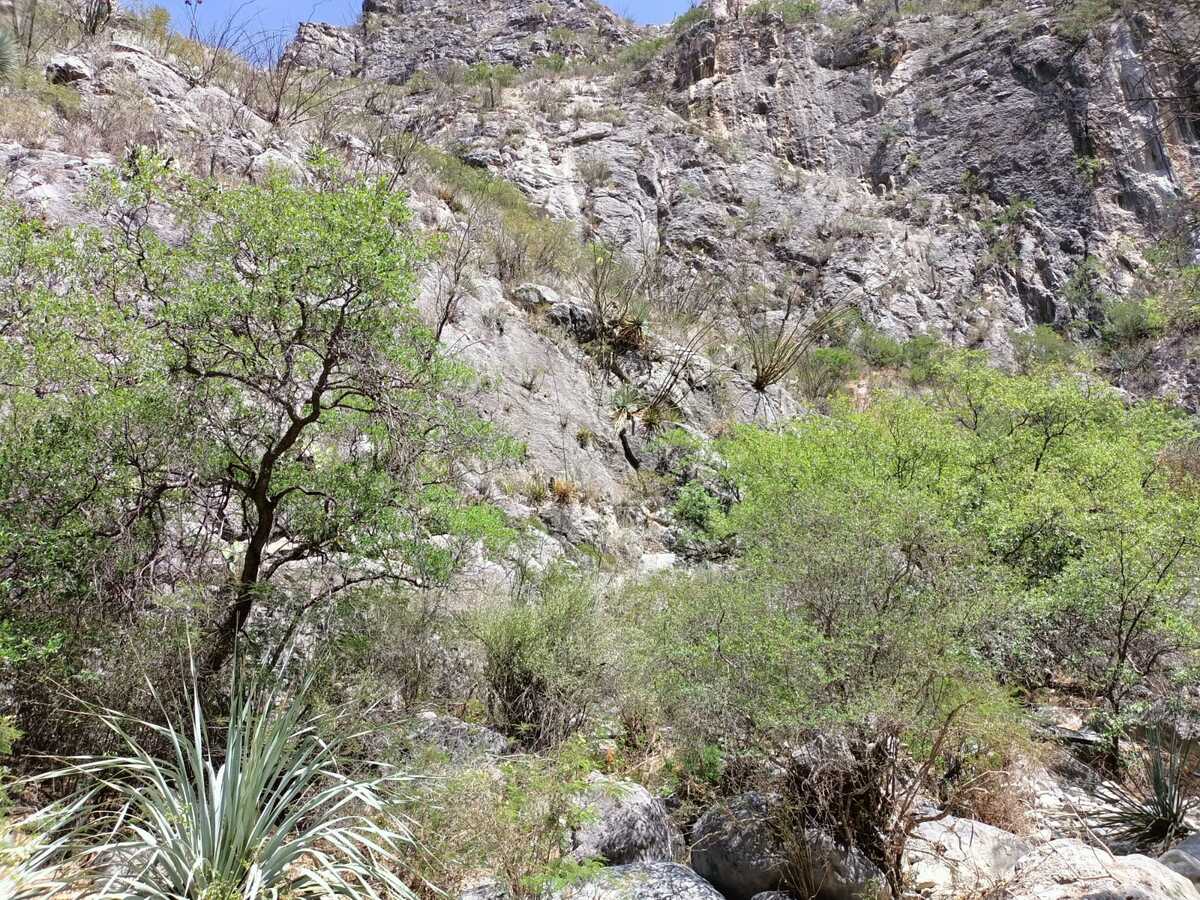 'Cañón La Encantada' se encuentra ubicado en la ciudad de Lerdo, Durango. | Especial