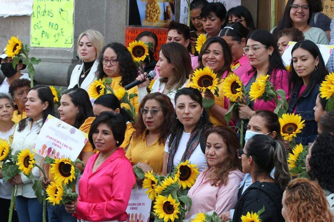La dirigencia nacional del PRD ha presentado acciones de inconstitucionalidad en contra.