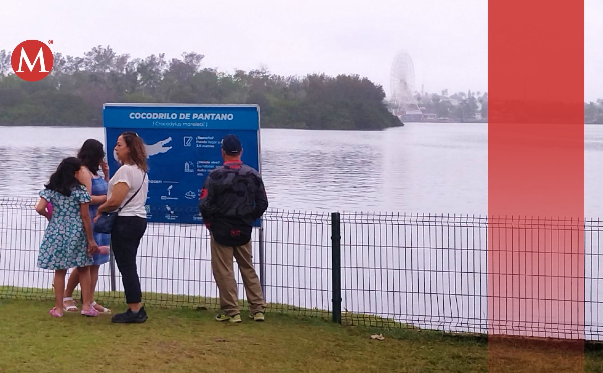 Laguna del Carpintero.