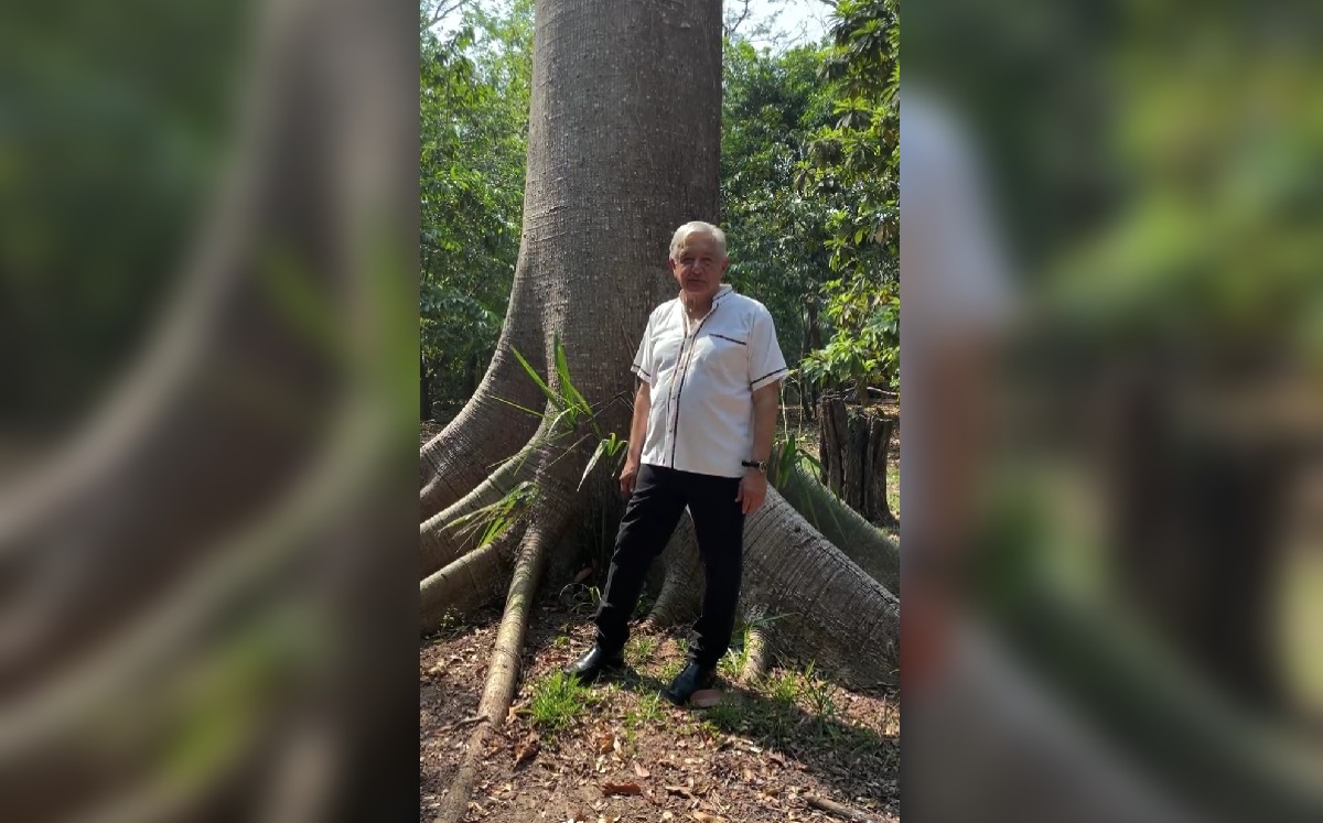 AMLO asegura que quieren prohibir 'Las Mañaneras'; "no van a poder", advierte. | Captura