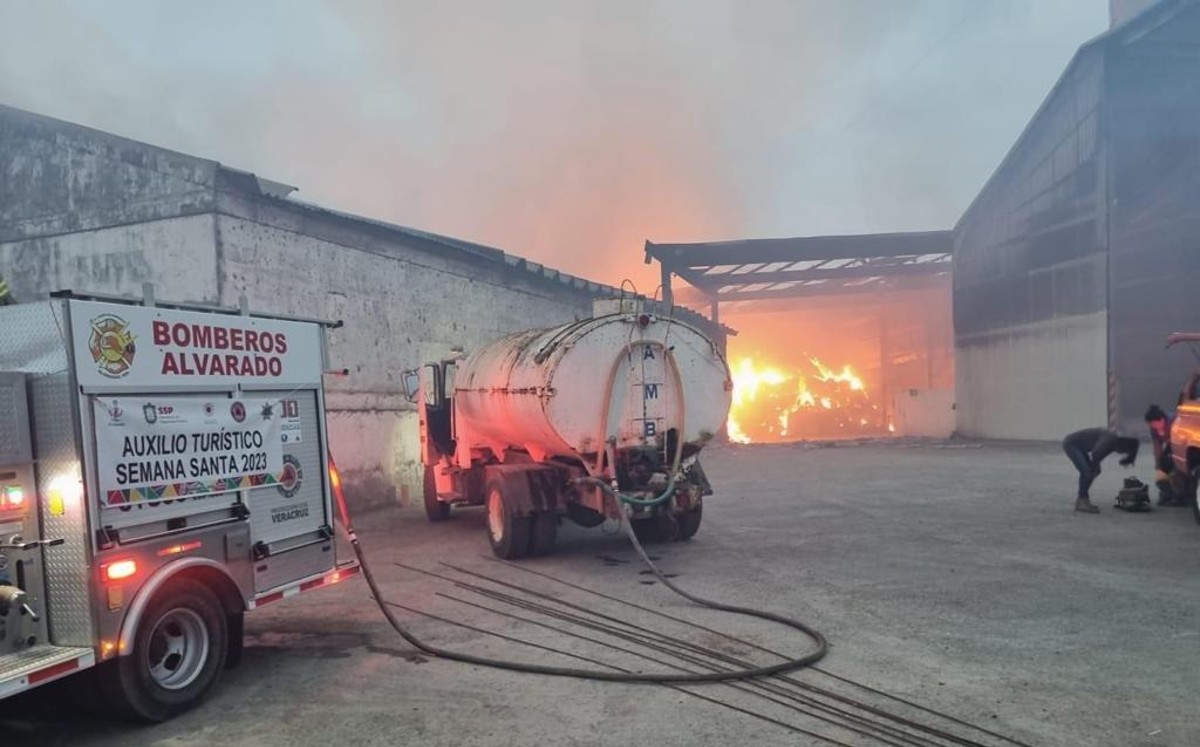 Al 80% controlado, incendio de rancho ganadero de Alvarado, Veracruz: PC | Especial