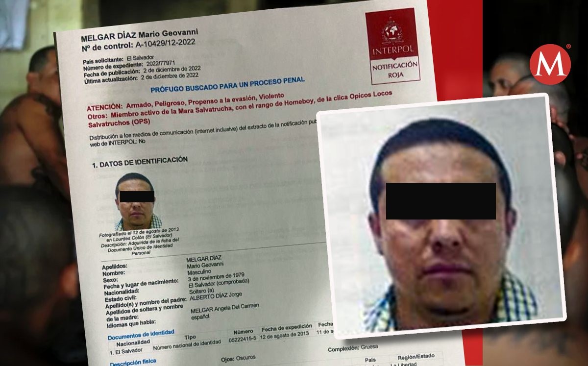 'El Manguera', el Mara de El Salvador que se hace pasar por mexicano. | Especial