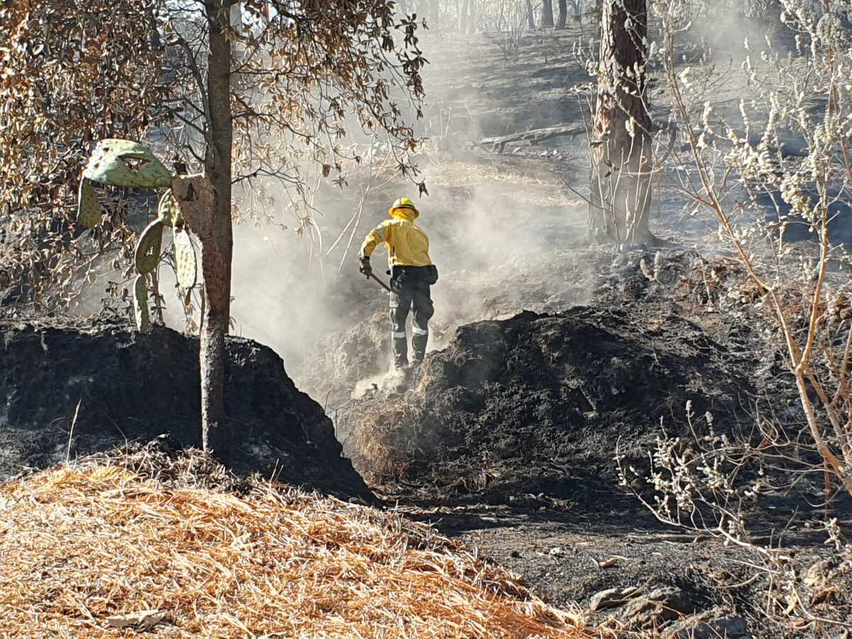 En lo que va del año se han registrado 460 incendios forestales en Jalisco. (Cortesía)
