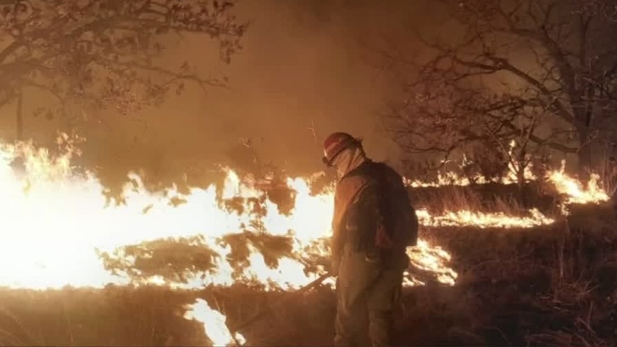Está bajo control el incendio en el Bosque de La Primavera en Zapopan