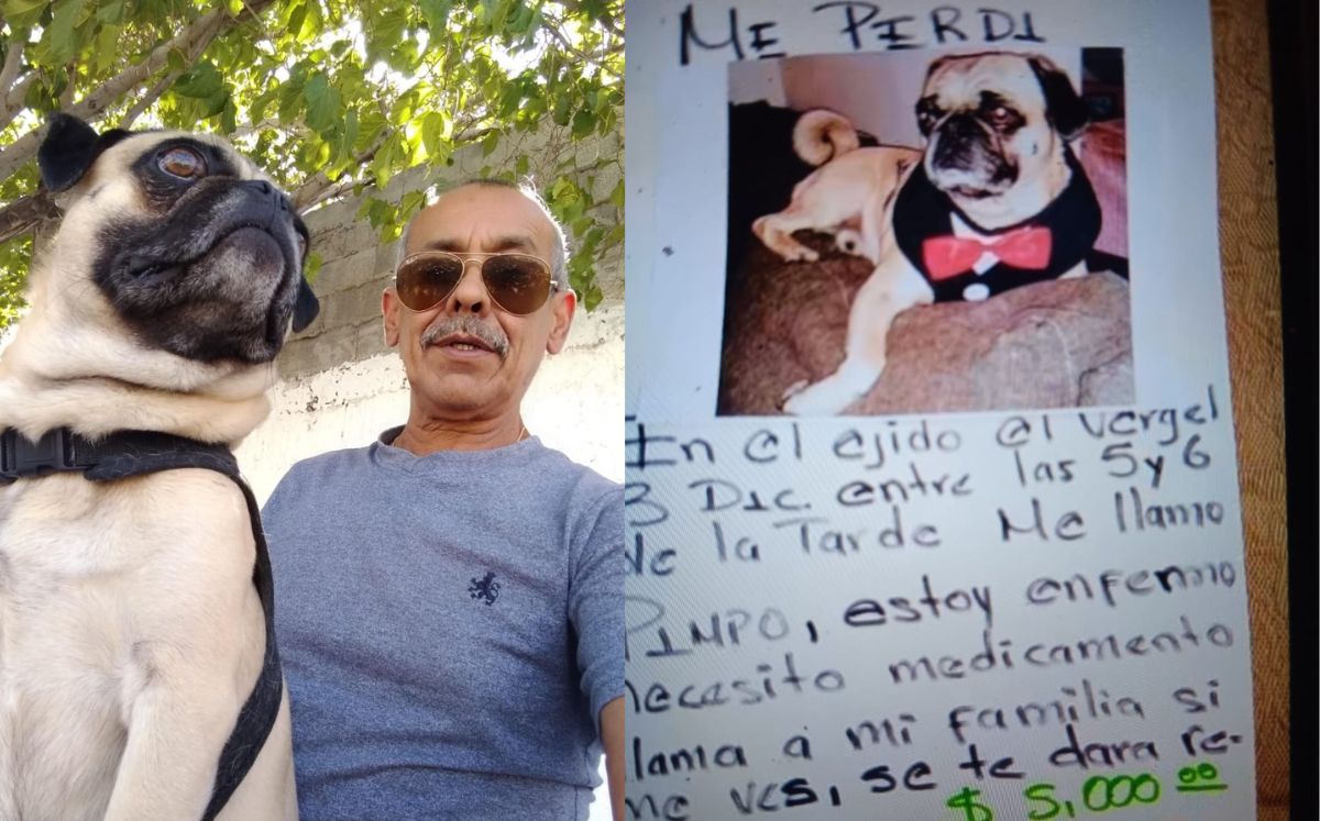 Hombre de Chihuahua pierde a su perrito al pasar por La Laguna, "te extraño Pimpo". | Especial