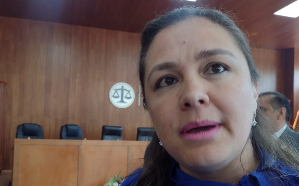 Ninguna candidata ha subido información al sitio "Conóceles": IEEM. Claudia Hidalgo