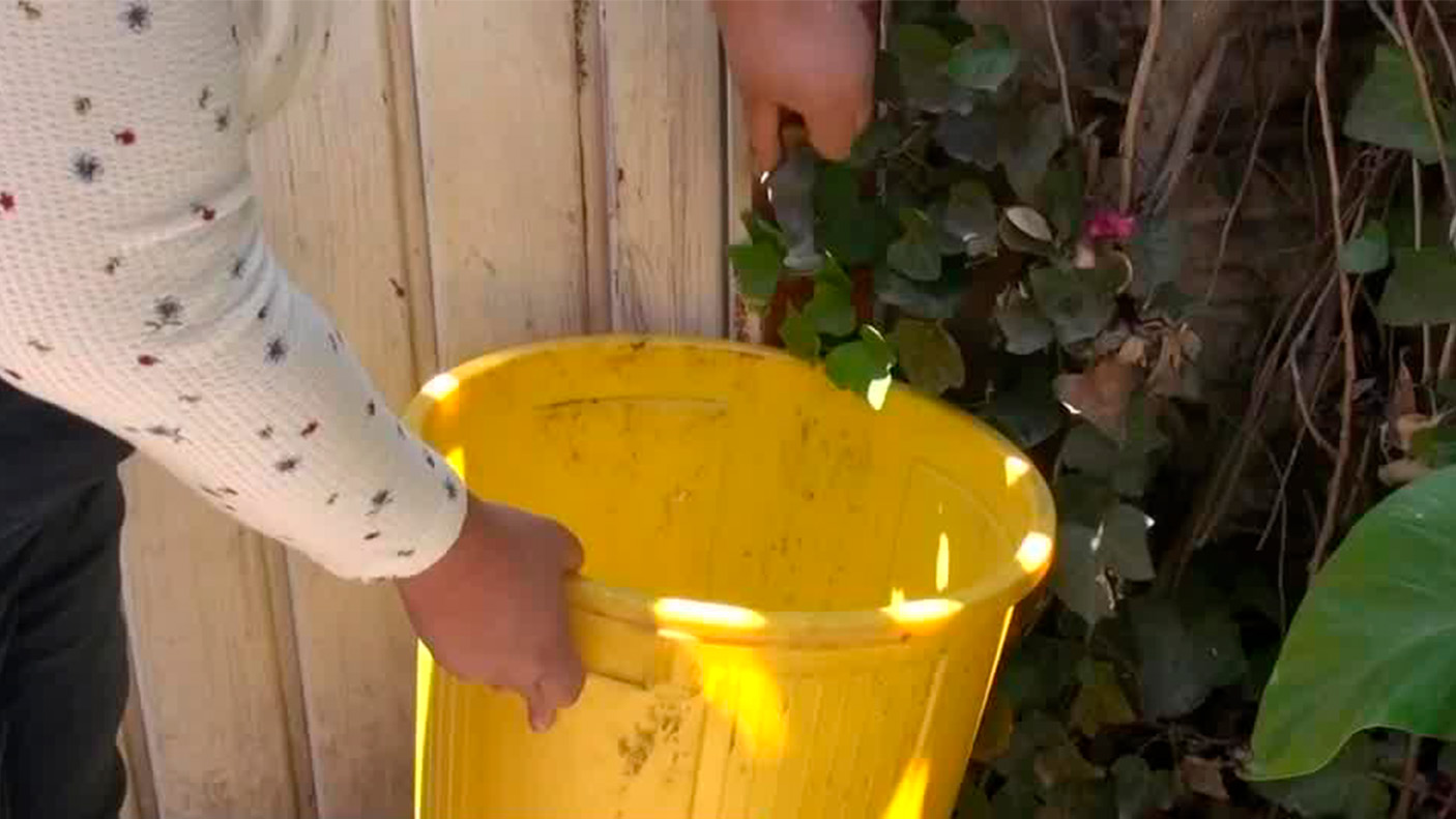 Habitantes de Ecatepec toman medidas ante la falta de agua; buscan hacer valer sus derechos