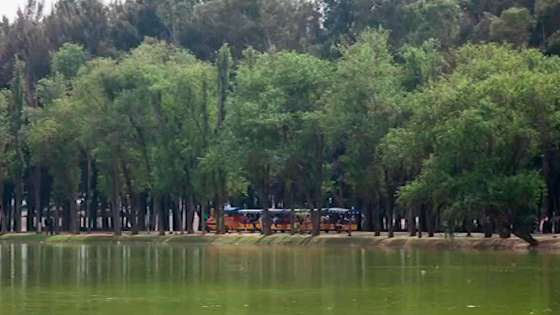 En CdMx, terminan la rehabilitación en el bosque de Tláhuac
