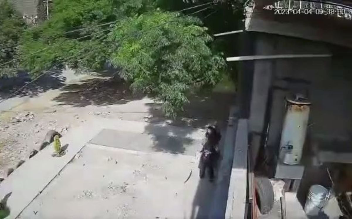 Las acciones quedaron grabadas en las cámaras de vigilancia de la propietaria de la vivienda, por lo que ya se interpuso una demanda.