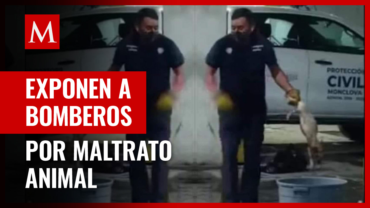 Bomberos de Monclova acusados de maltrato animal