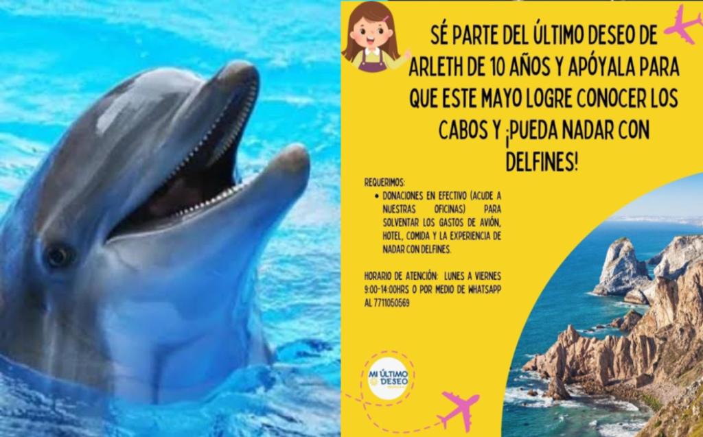 Arlet tiene el deseo de nadar con delfines.