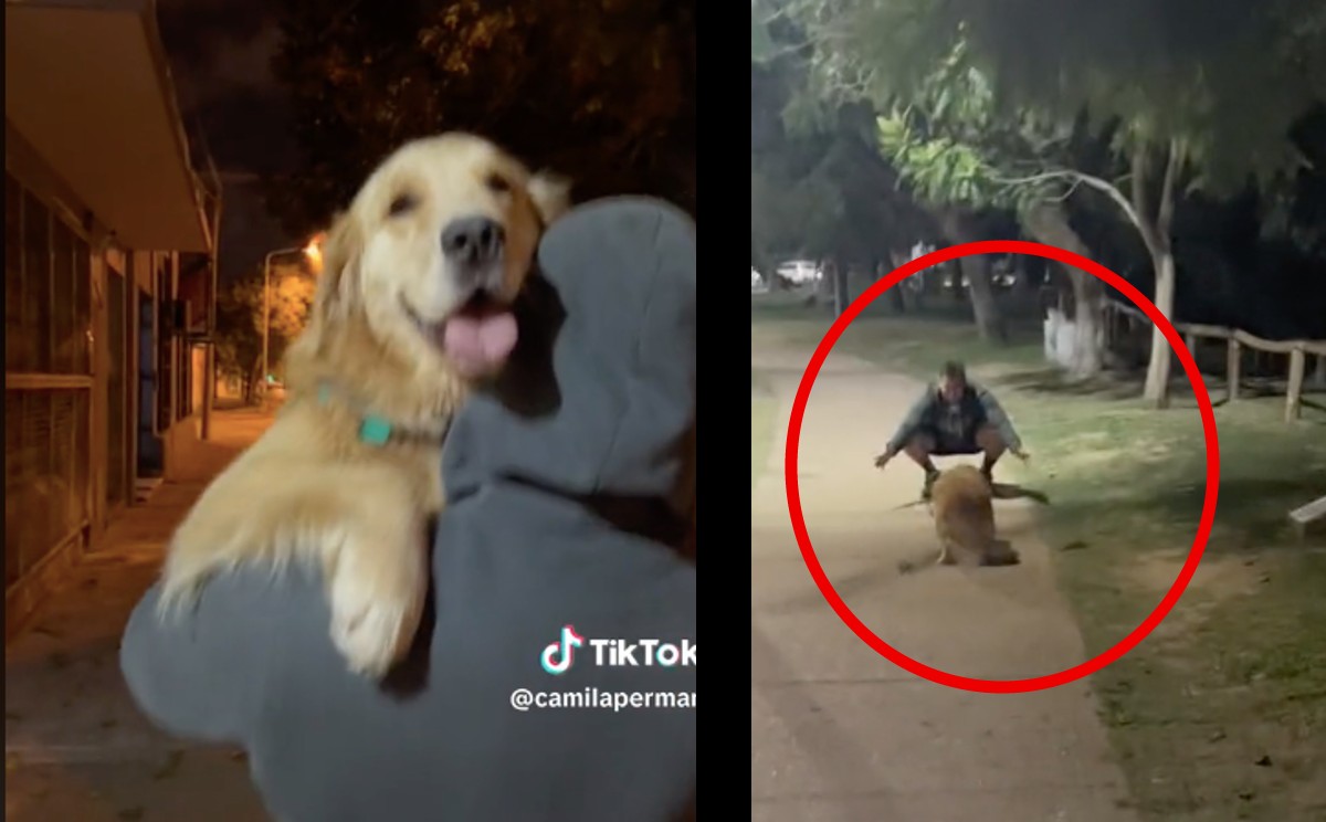 Perrita traiciona a su dueña con ex novio. | ESPECIAL