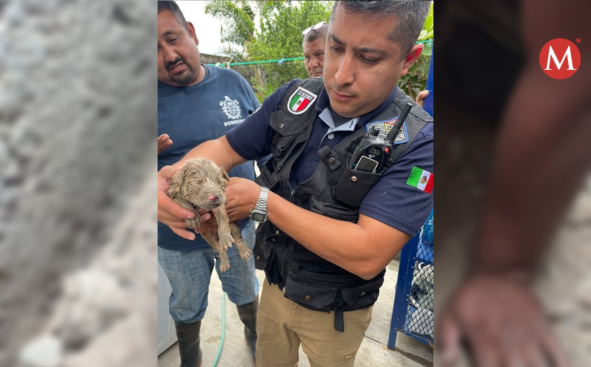 Rescatan a perrito atorado en una coladera de Ciudad Victoria