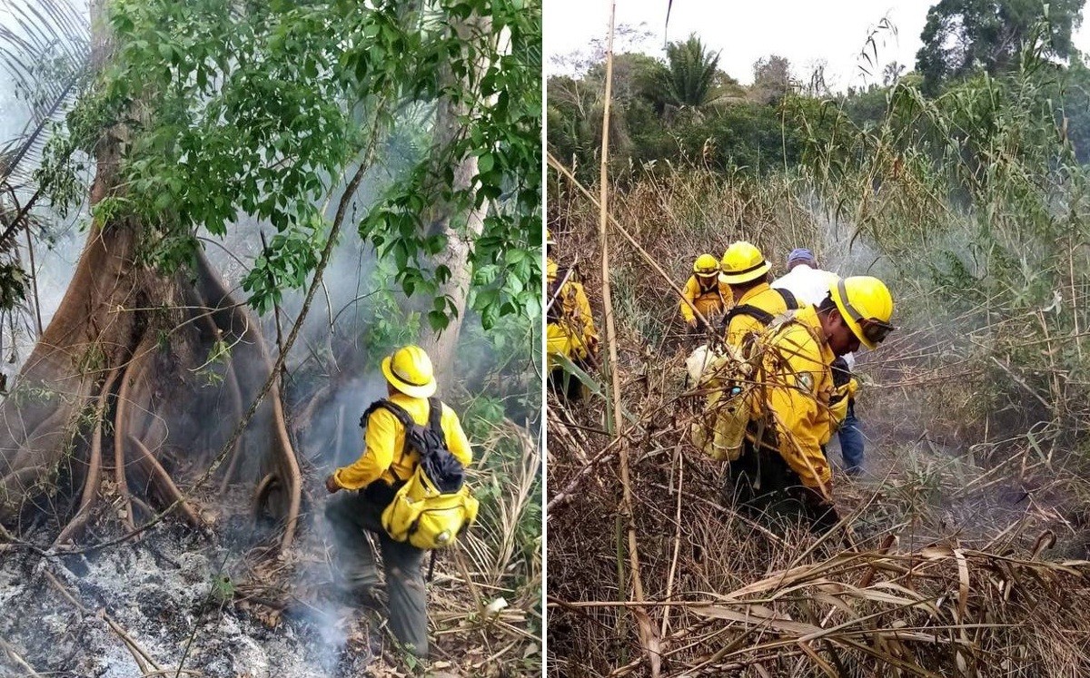 Alrededor de 70 combatientes han trabajado para controlar el fuego en Quintana Roo. | Especial