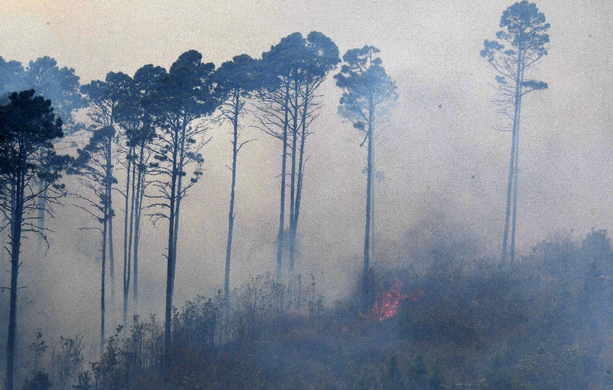 Incendio en parque La Montañita, cerca de Tegucigalpa (AFP)