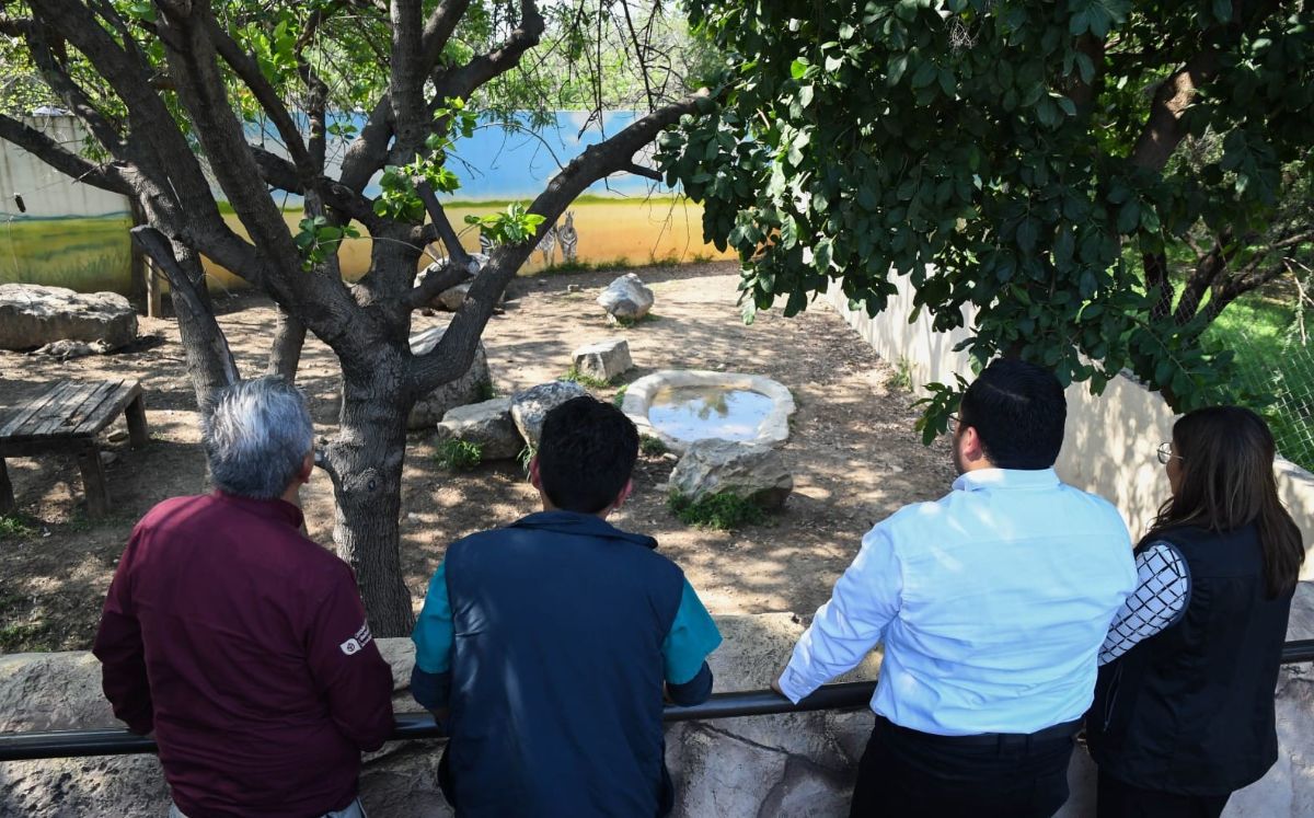 Investigan muerte de animales en el Zoológico de Tamatán