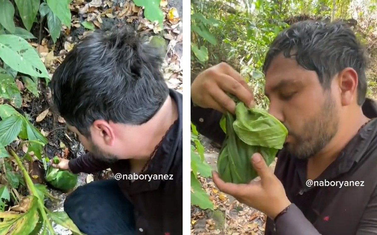 El video se volvió viral / Capturas