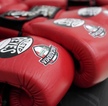 Los guantes de box son de lo más importante.
