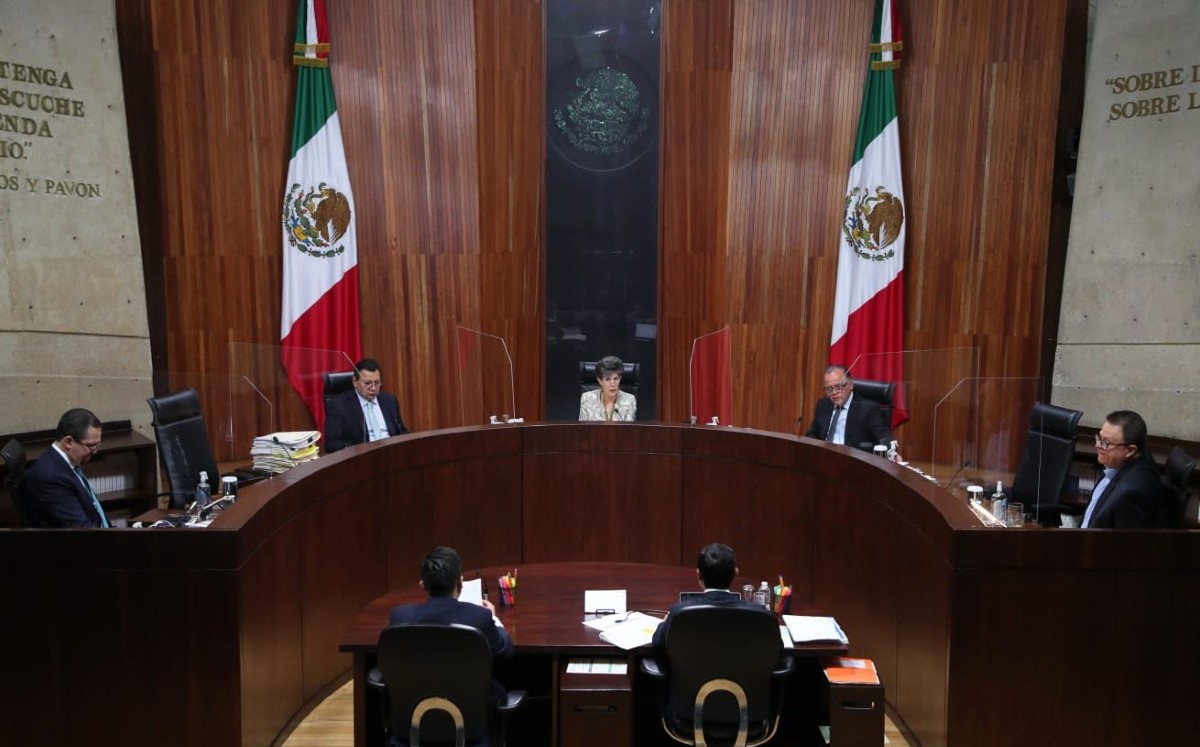 TEPJF declara inconstitucional estatuto de Morena sobre violencia política de género. (Especial)