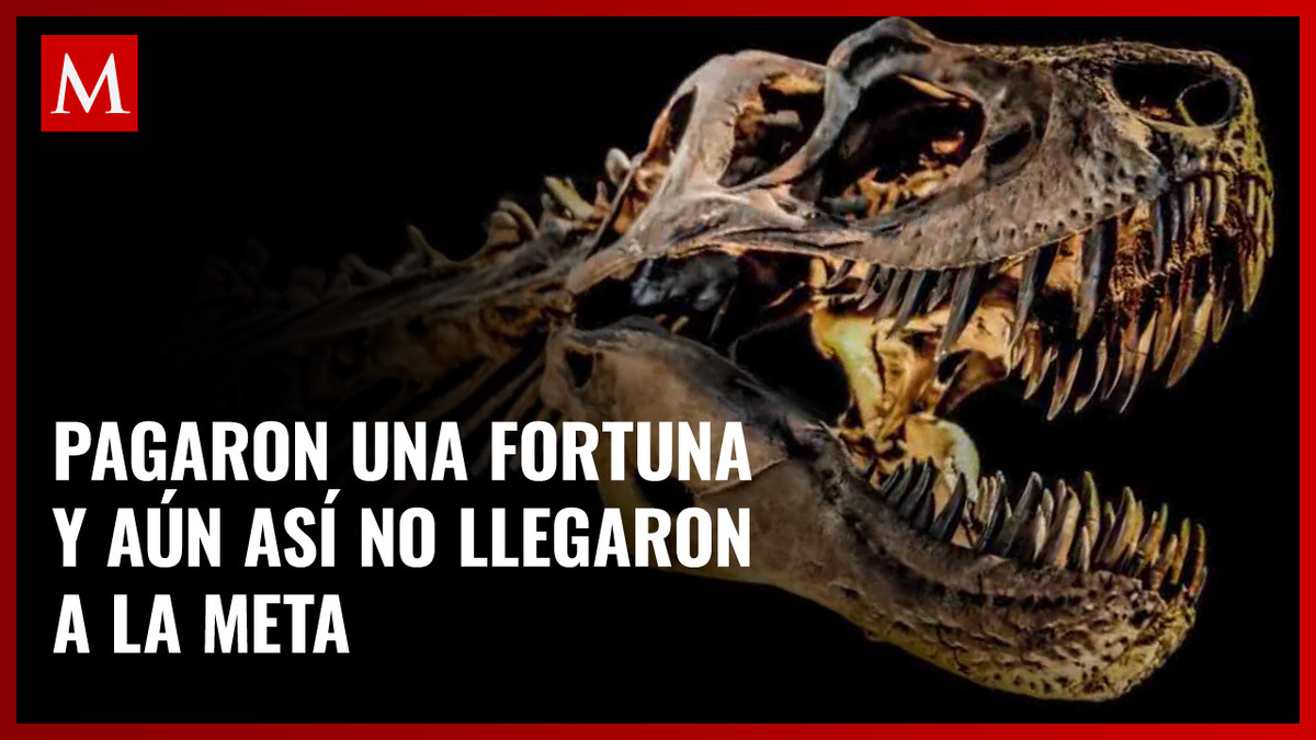 Esqueleto de T-Rex se vende por más de 6 mdd en subasta de Suiza