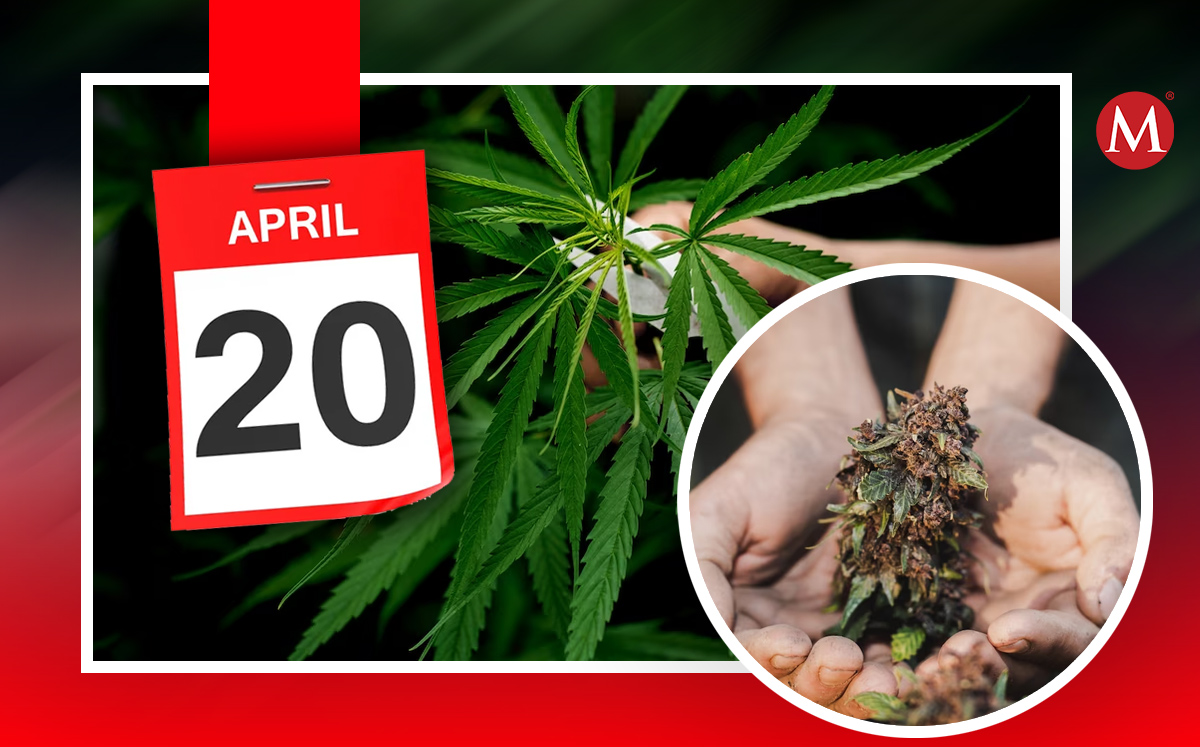 Por esta razón se conmemora el Día de la Mariahuana