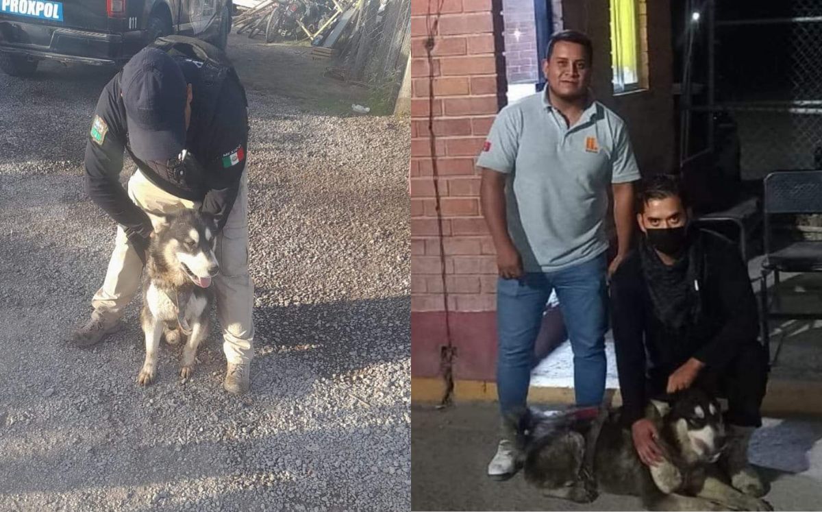 Los agentes lo resguardaron y le dieron comida y agua, ya que el perro andaba sediento y asoleado. (Facebook)