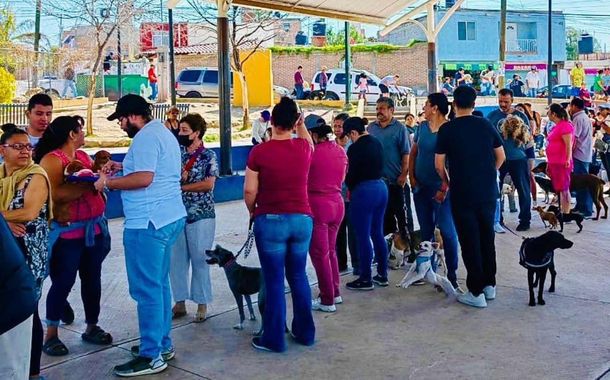 Jornada Intensiva de Vacunación Antirrábica en Guanajuato 2023 | Cortesía