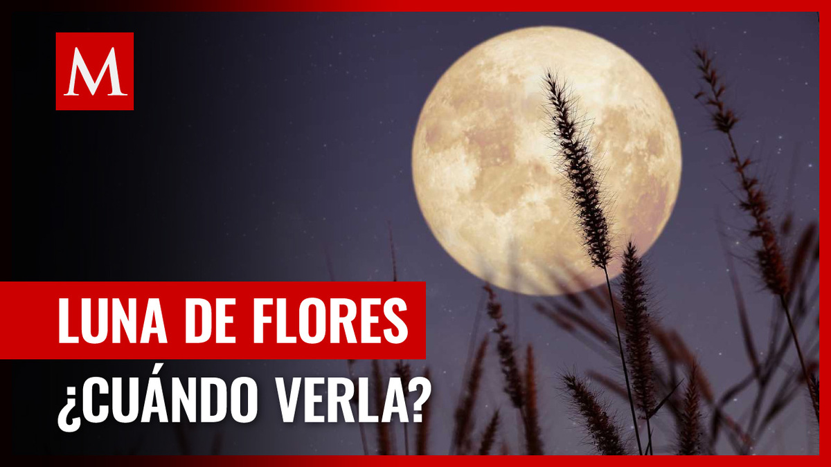 Luna de las Flores: la más impresionante del mes de mayo