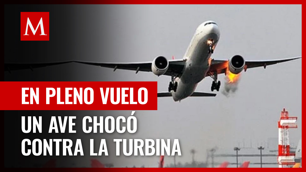 Pájaro causó incendio en avión después de chocar con la turbina