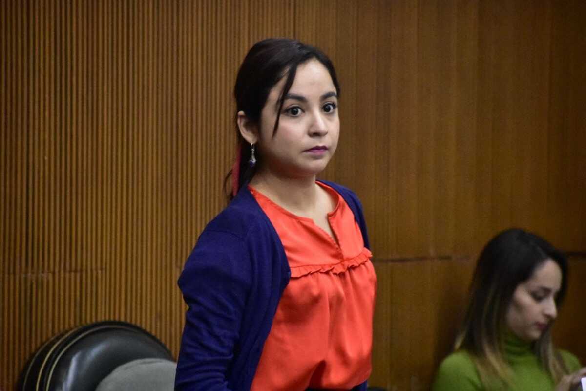 La diputada Iraís Reyes, de Movimiento Ciudadano. Foto: Especial