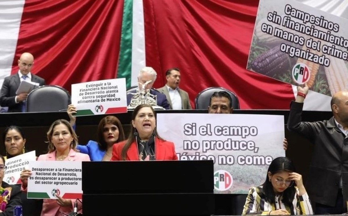 La diputada María del Refugio Camarena acusó que se hizo un análisis “poco profundo". | Fernando Damián