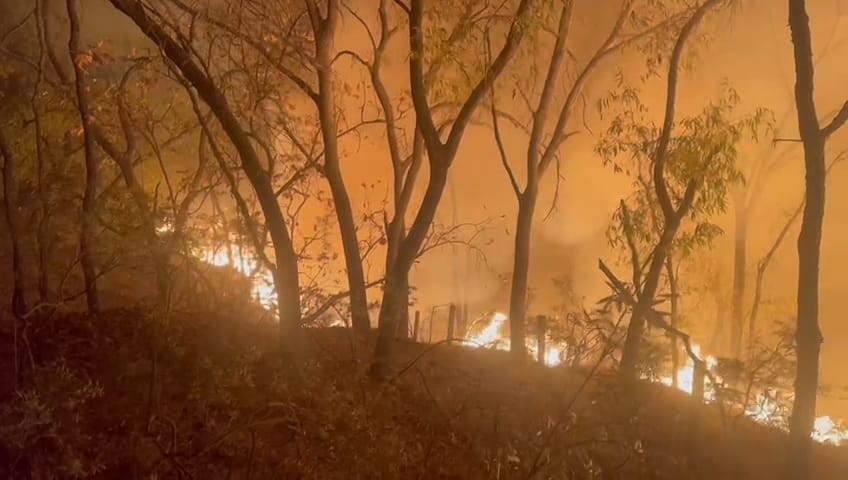 Incendio de bosque La Primavera paraje El Poleo (Especial)
