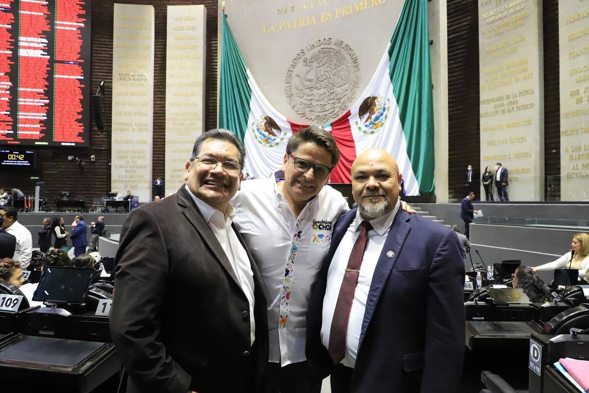Cuauhtémoc Ochoa, diputado federal de Morena en San Lázaro. (Cortesía)