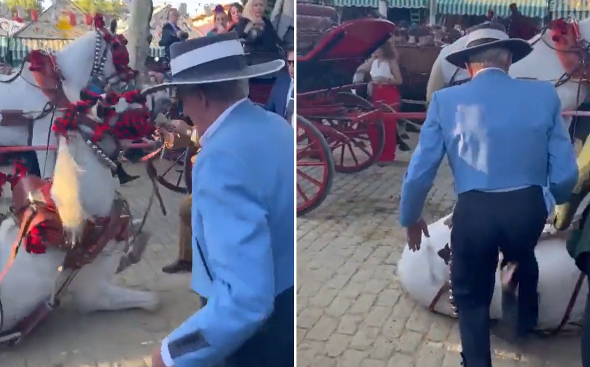 El hombre pateó al caballo durante la Feria de Sevilla 2023. | Twitter
