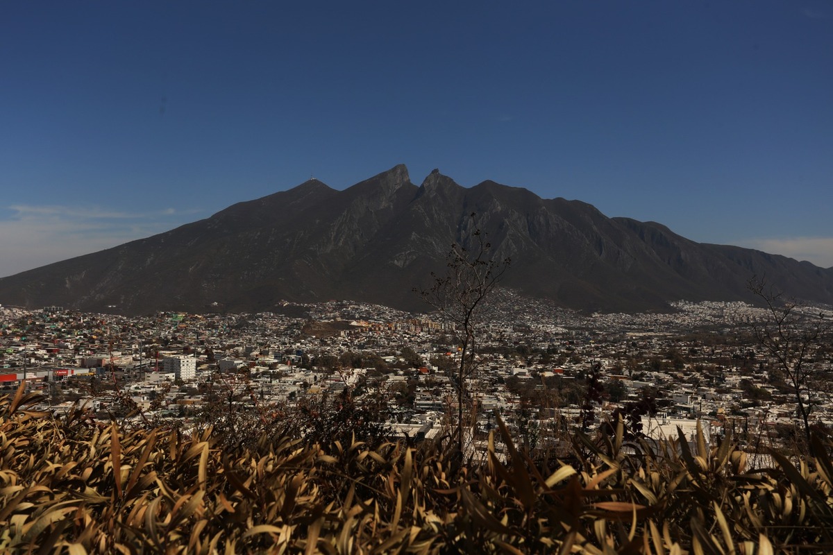 En  Nuevo León existen 72 carpetas de investigación por este delito; en el primer trimestre de 2023 se rompió el récord en la entidad. ROBERTO ALANÍS