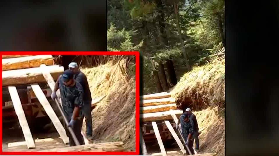 Padre de joven lesionado por la GN compartía videos de tala de árboles en redes sociales