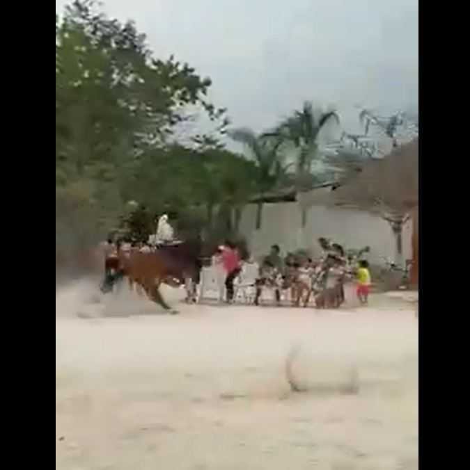 Menores de edad son embestidos por un caballo en la Feria "el cedral"