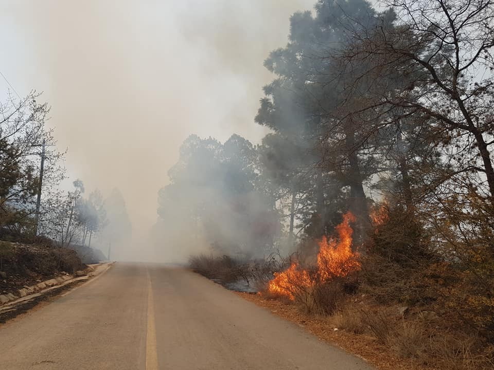 En 2022 la cifra fue de 18 incendios forestales con 9 mil 463 hectáreas afectadas. Foto: Archivo