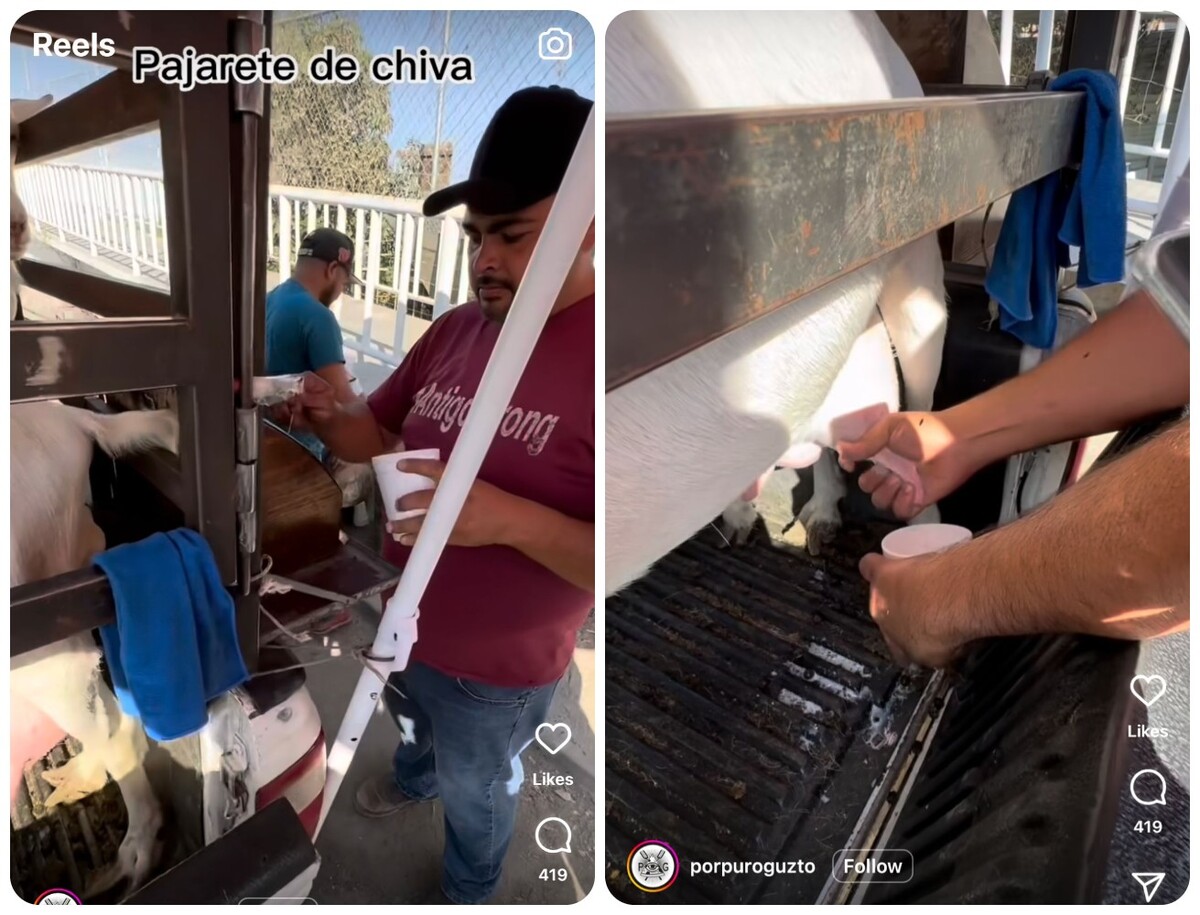 Preparan pajarete con mazapán en poblado de San Isidro (Especial)