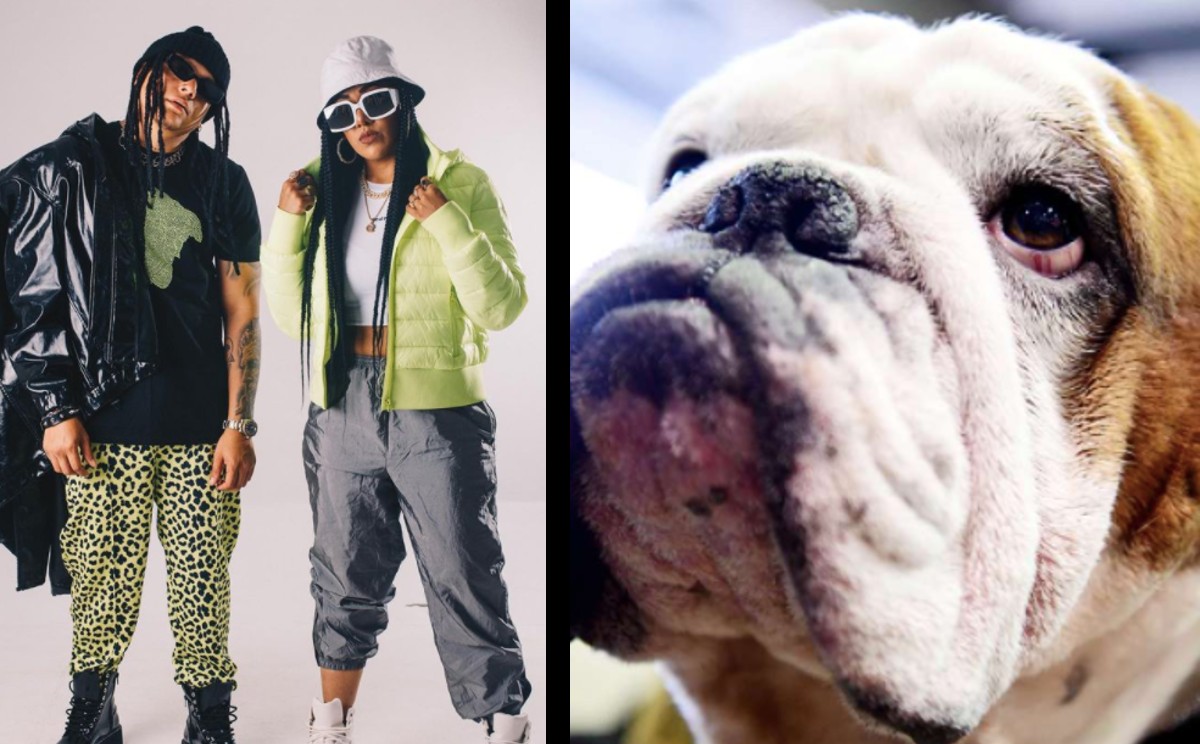 La Factoría se deslinda de muerte de perrito. | ESPECIAL