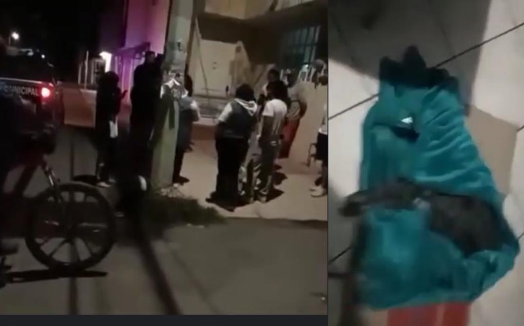 Perros murieron envenenados en Pachuca.